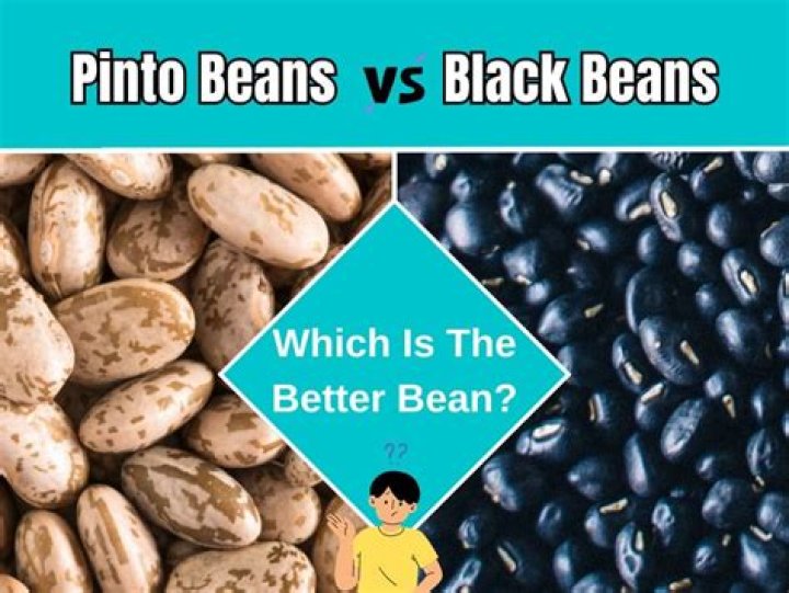 Are black beans better for you than Pinto?