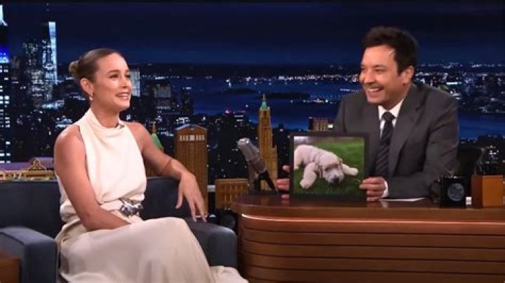 Brie Larson’s New Rescue Dog Named Himself ‘Six-Thirty,’ After Her Canine Costar in ‘Lessons in Chemistry’