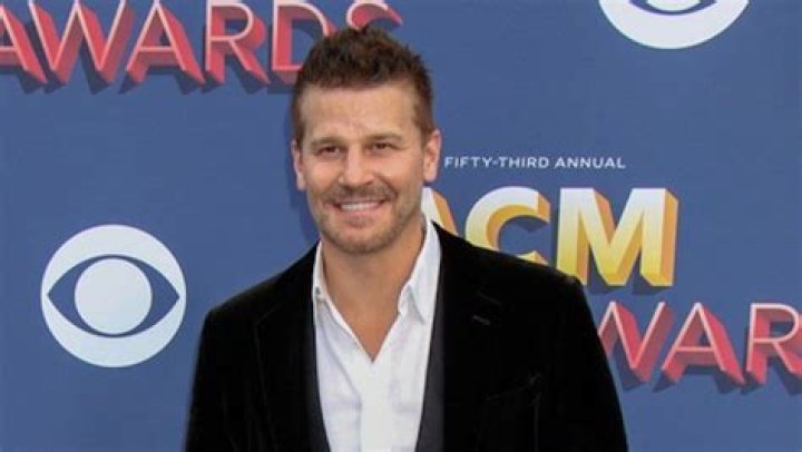 David Boreanaz Highlights | Famous Birthdays