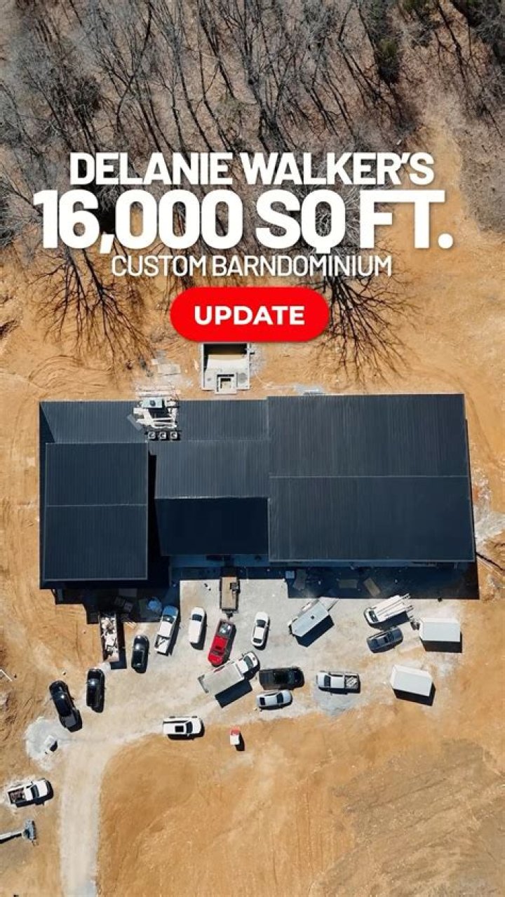 Delanie Walker - Age, Family, Bio