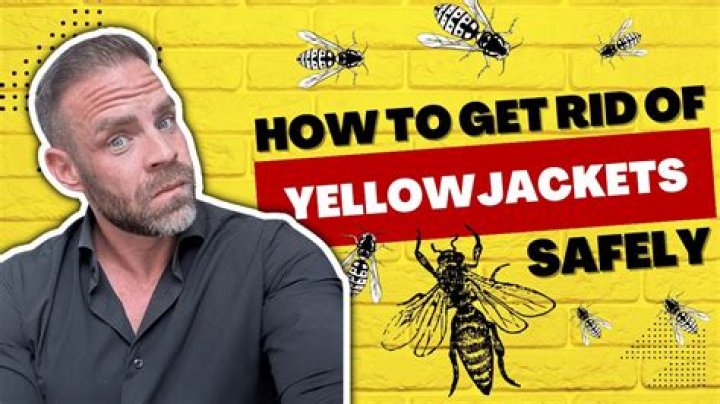 Does bug spray work on Yellow Jackets?