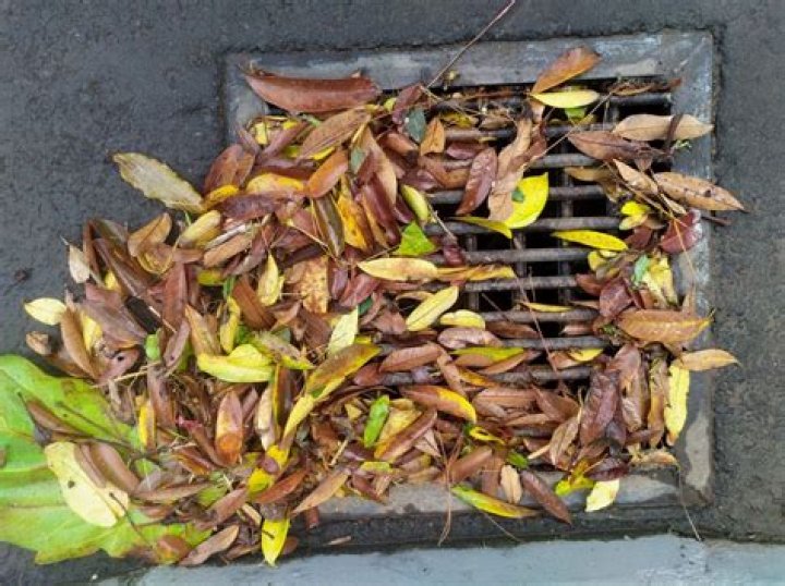 How do you keep leaves out of French drains?