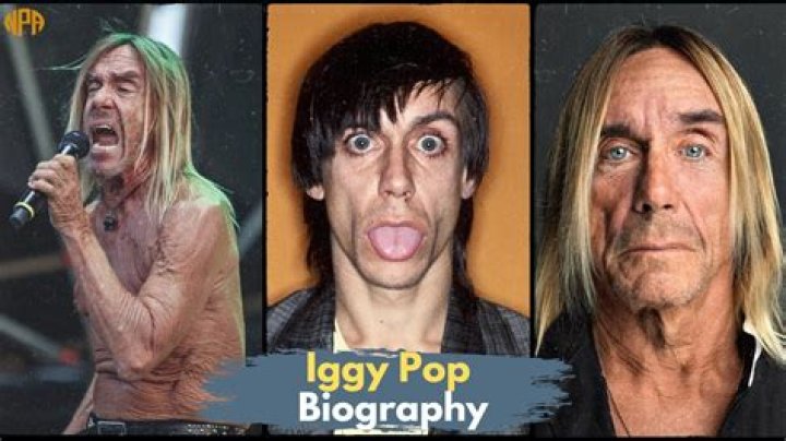 Iggy Pop - Age, Family, Bio