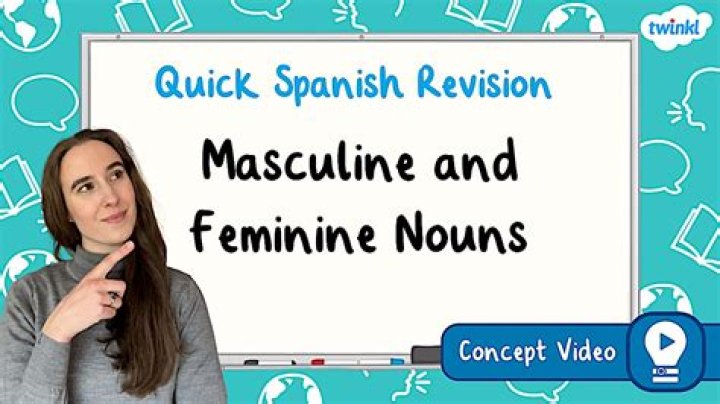 Is Notebook feminine or masculine in Spanish?