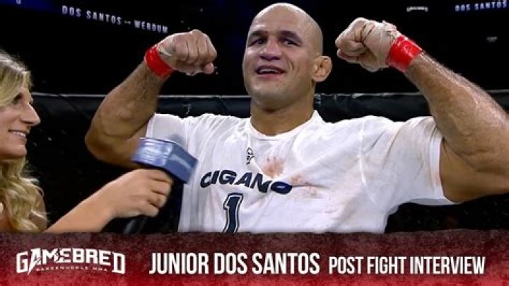 Junior dos Santos - Age, Family, Bio