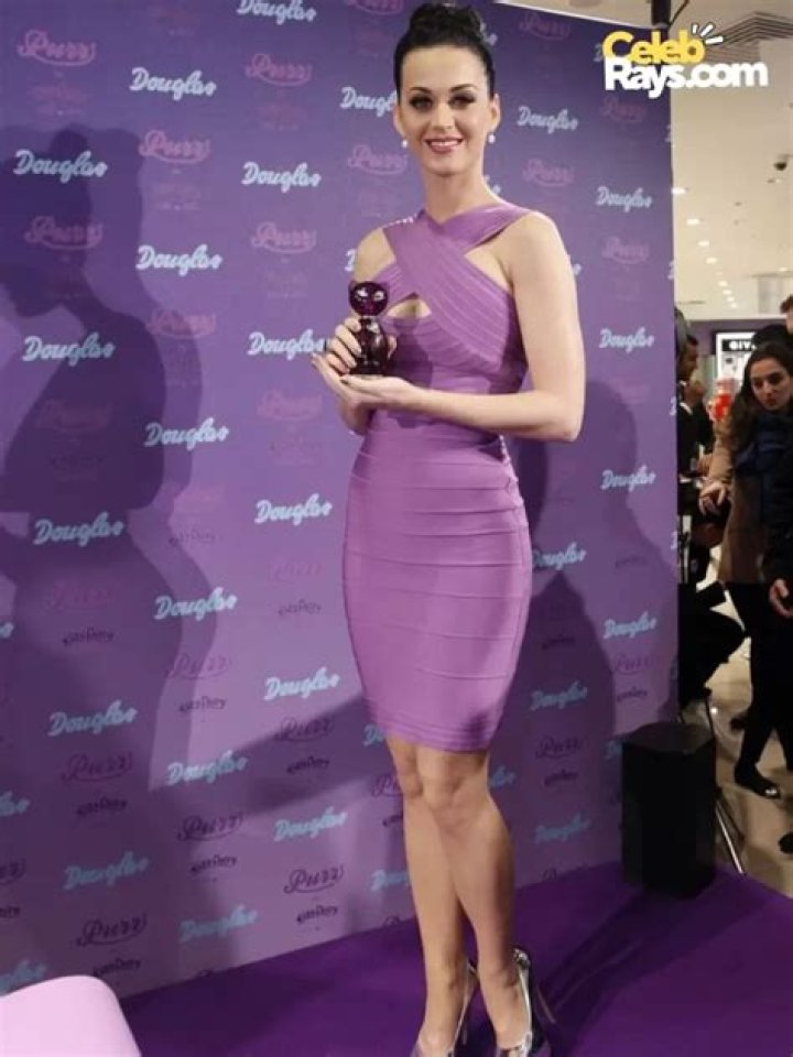 Katy Perry Bio (Wiki) 