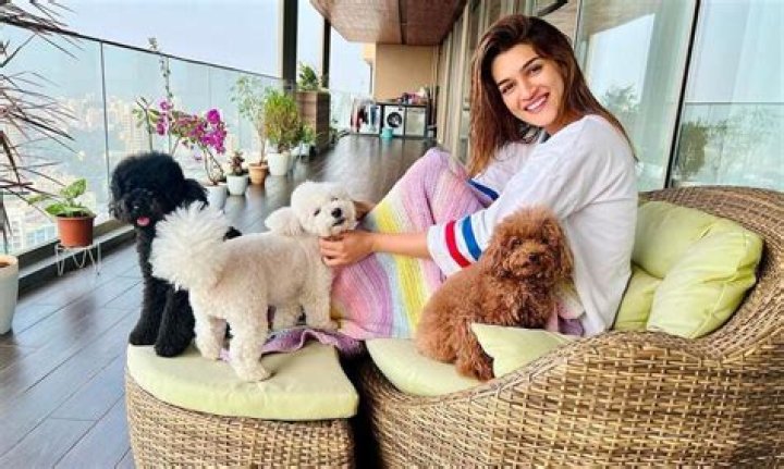 Kriti Sanon - Age, Family, Bio