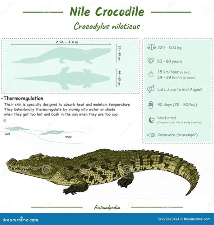 Nile Wilson - Age, Family, Bio