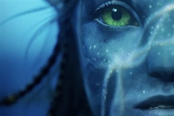 The Swimmers - Cast, Ages, Trivia