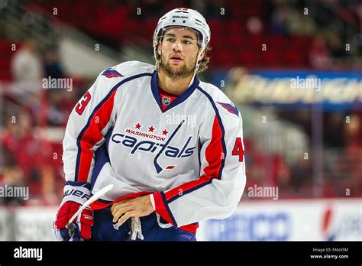 Tom Wilson (Hockey Player) - Age, Family, Bio
