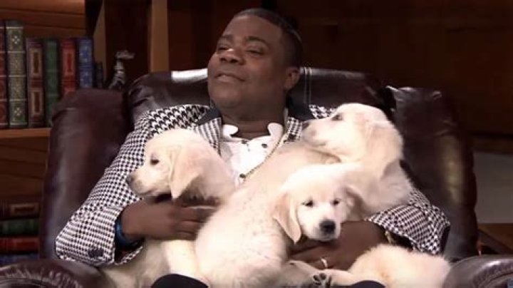 Tracy Morgan Pets - Celebrity Pets