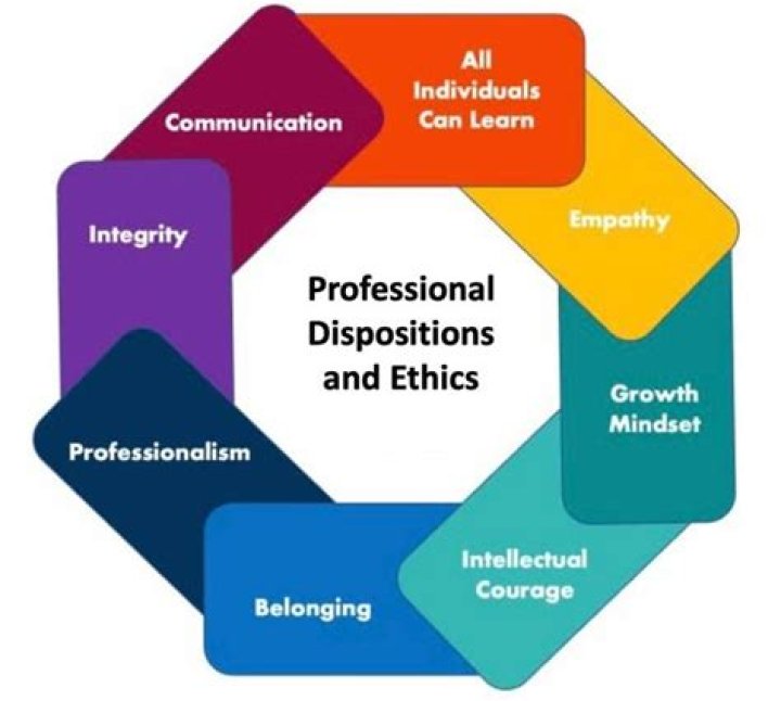 What are professional dispositions?