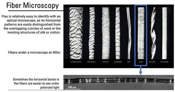 What are the microscopic characteristics of hair?