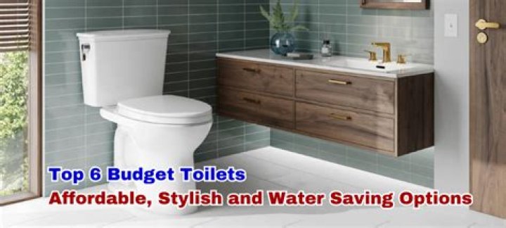 What is the best inexpensive toilet?