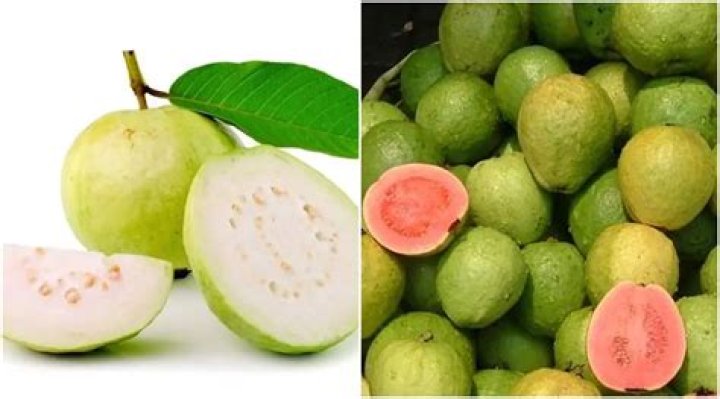What is the Colour of guava?