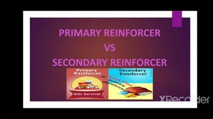 What is the difference between primary and secondary reinforcer?