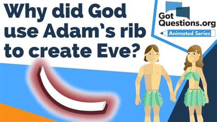 Why did God use Adam’s rib to create Eve?